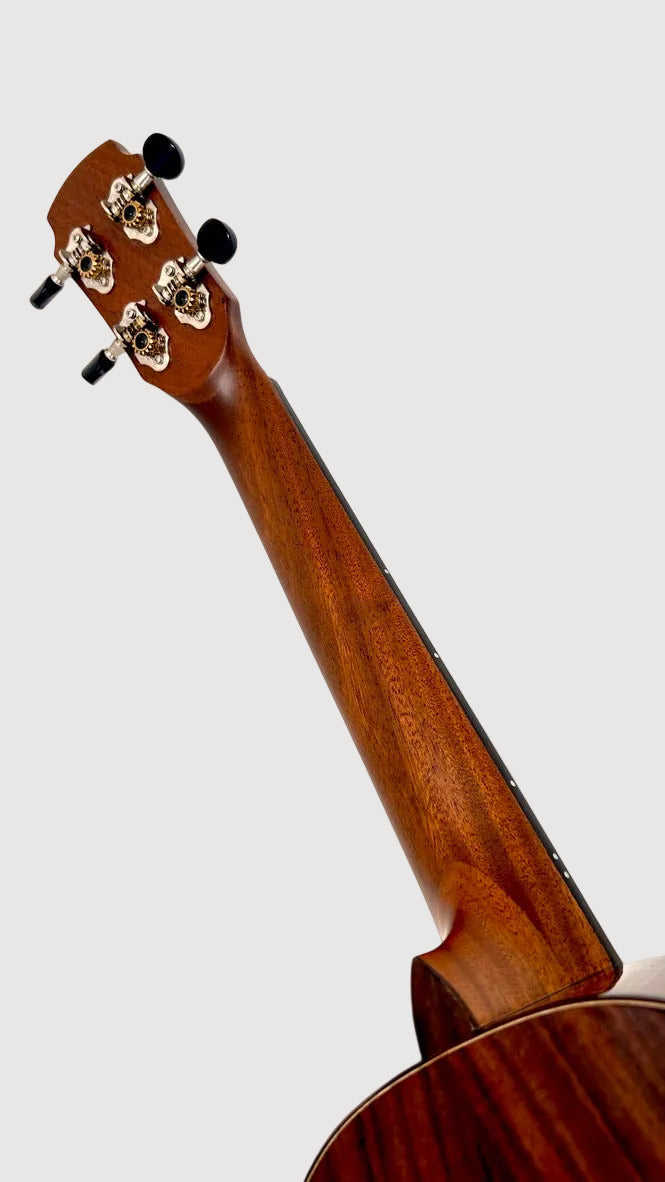 MAESTRO UT-IR (S) Tenor