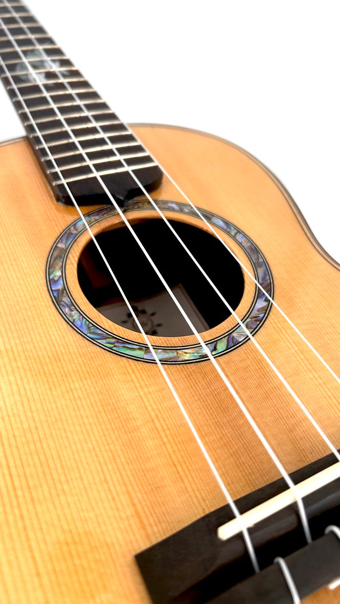 MAESTRO UT-IR (S) Tenor