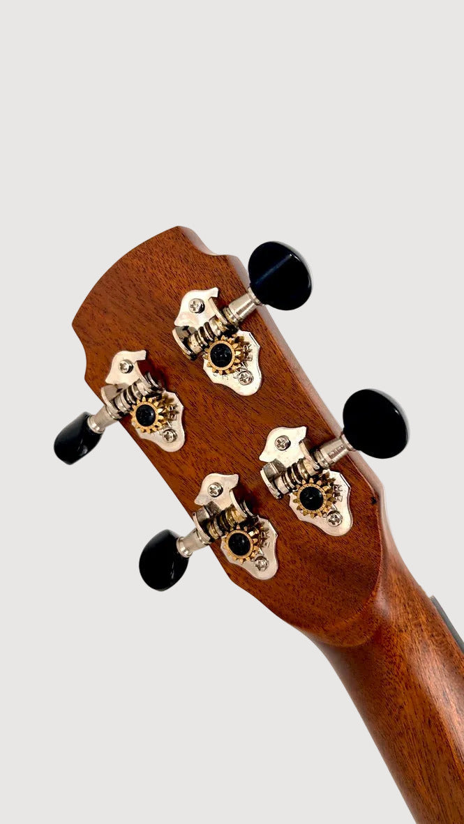 MAESTRO UT-IR (S) Tenor