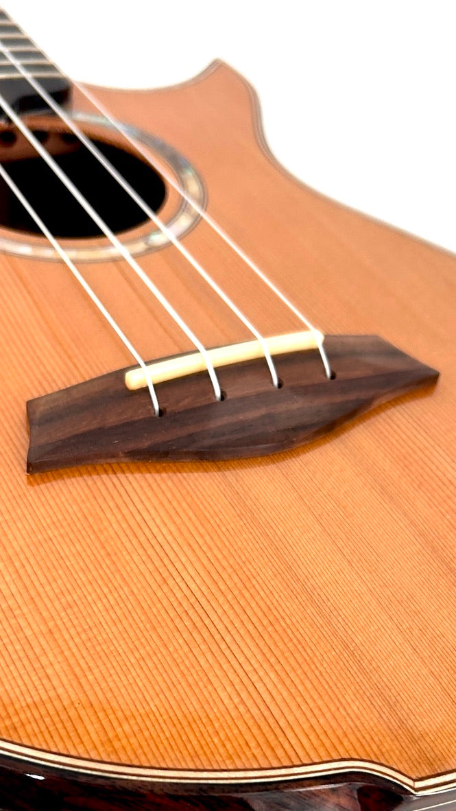 MAESTRO UT-IR (C) Tenor Cutaway