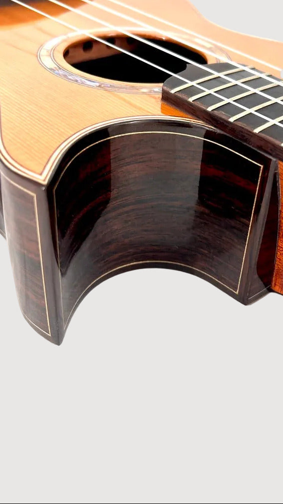 MAESTRO UT-IR (C) Tenor Cutaway