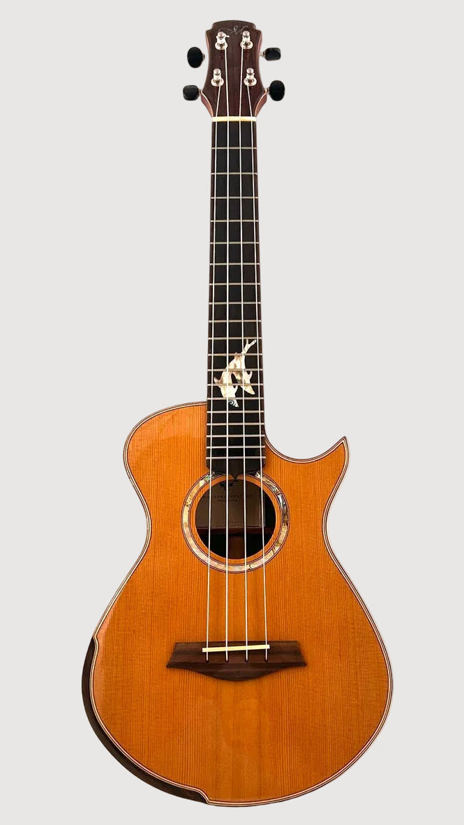 MAESTRO UT-IR (C) Tenor Cutaway