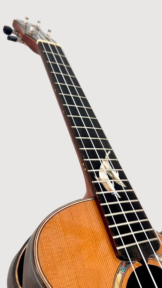 MAESTRO UT-IR (C) Tenor Cutaway