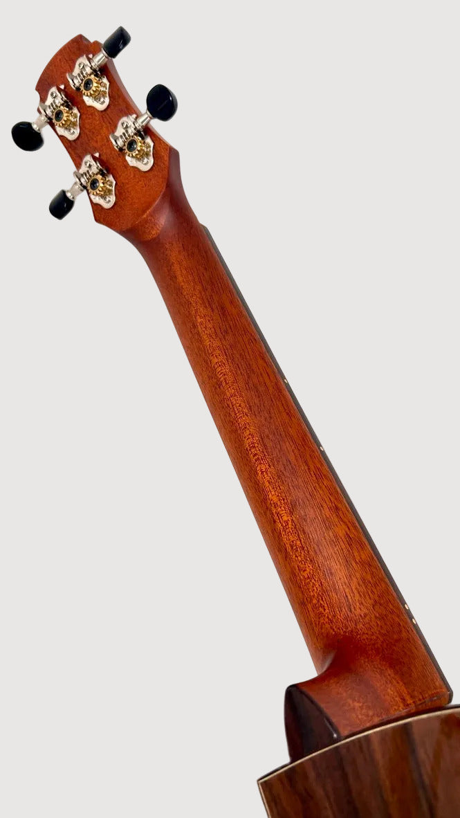 MAESTRO UT-IR (C) Tenor Cutaway