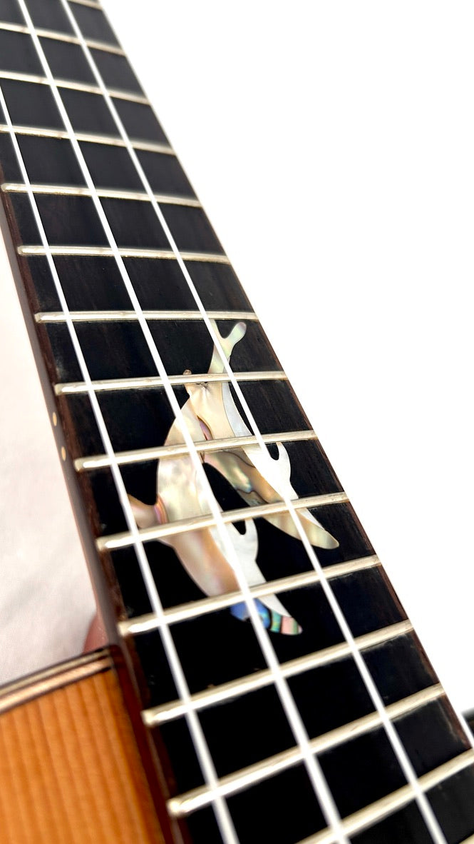 MAESTRO UT-IR (C) Tenor Cutaway