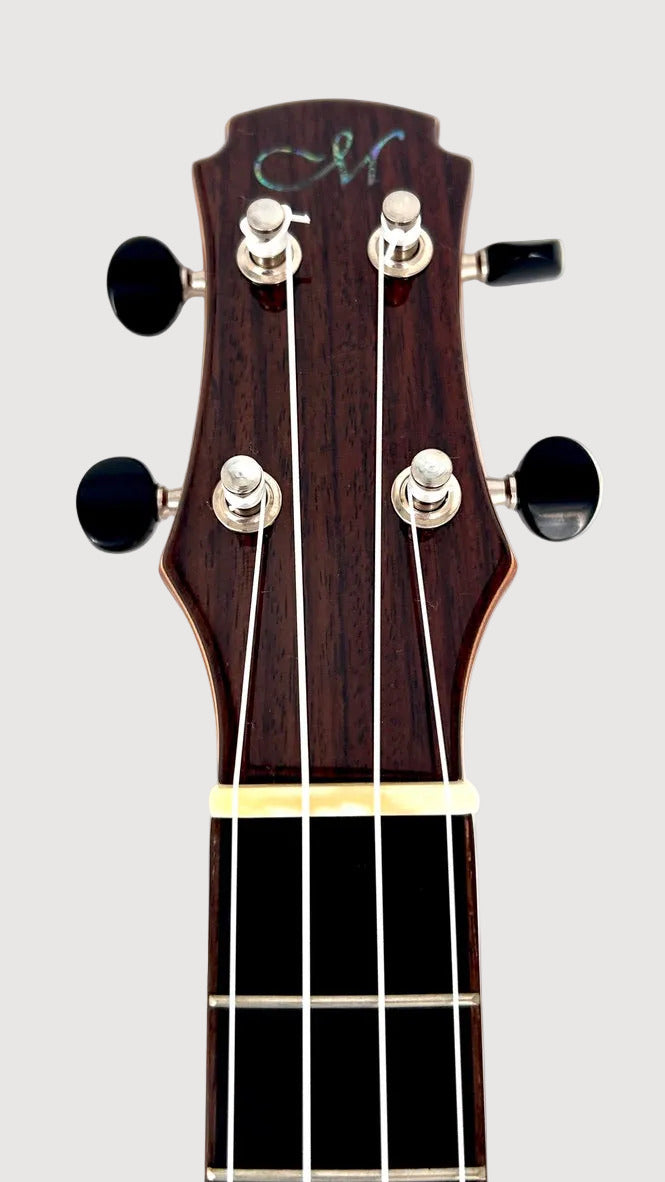MAESTRO UT-IR (C) Tenor Cutaway