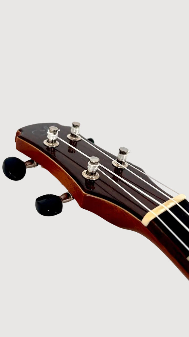 MAESTRO UT-IR (C) Tenor Cutaway