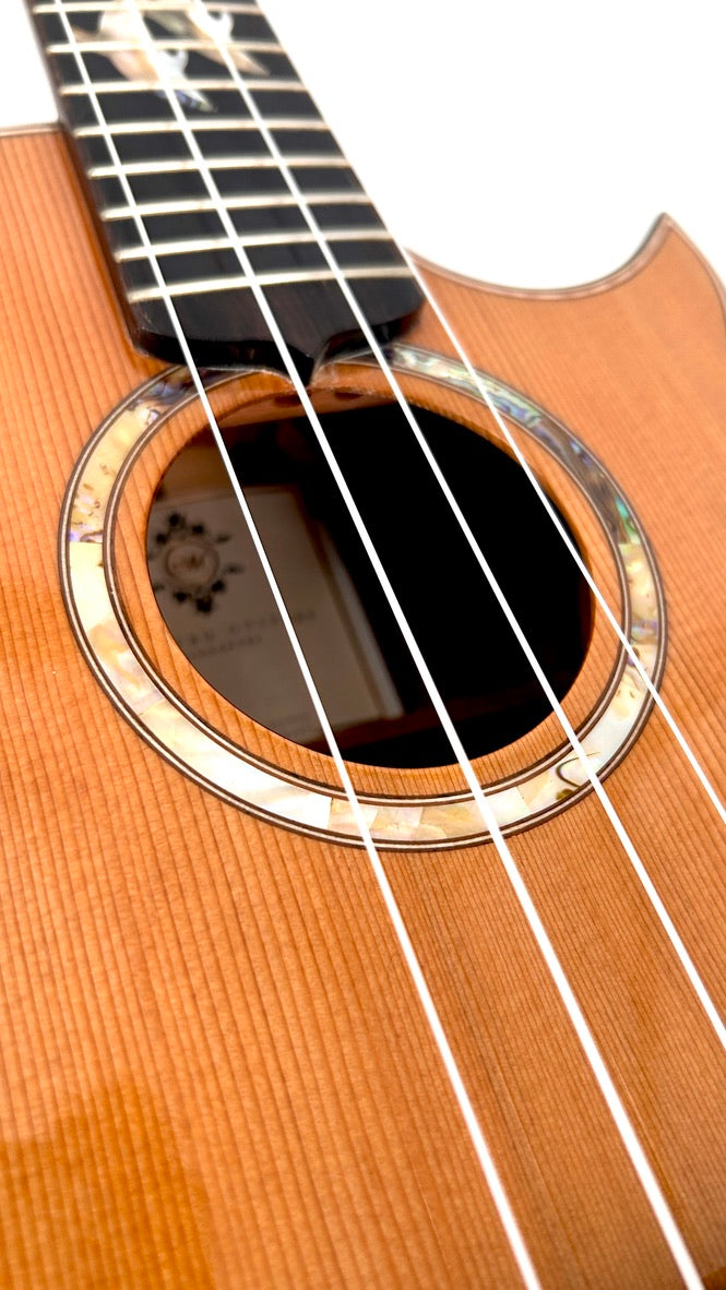 MAESTRO UT-IR (C) Tenor Cutaway