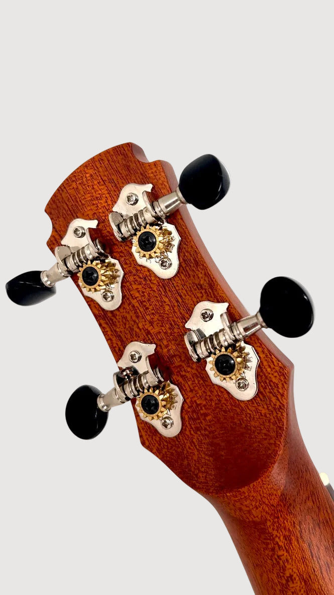 MAESTRO UT-IR (C) Tenor Cutaway