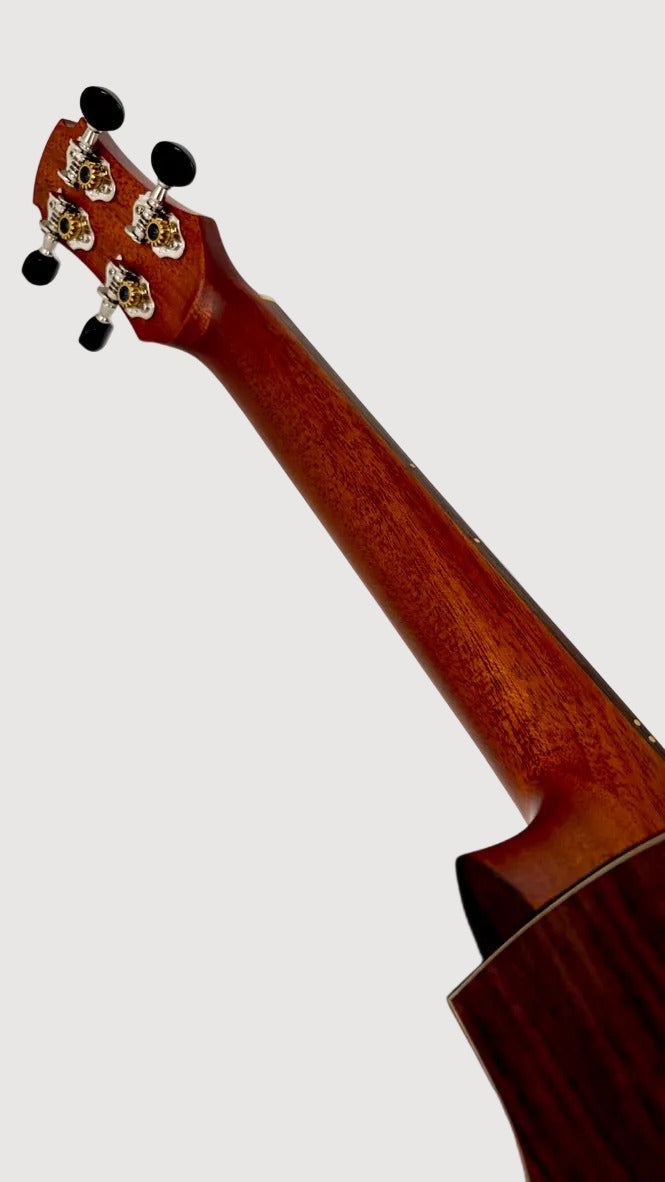 MAESTRO UT-IR (C) Tenor Cutaway