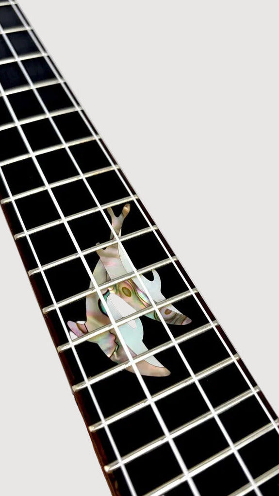 MAESTRO UT-IR (C) Tenor