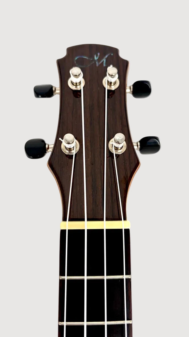 MAESTRO UT-IR (C) Tenor Cutaway