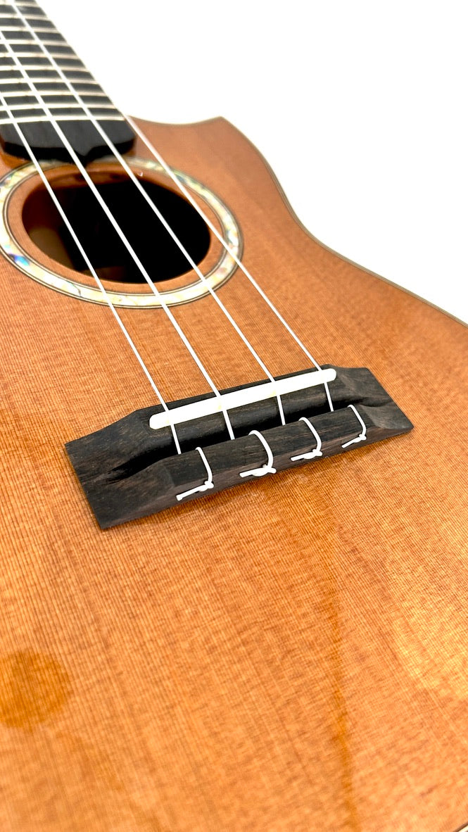 MAESTRO UT-IR (C) Tenor Cutaway