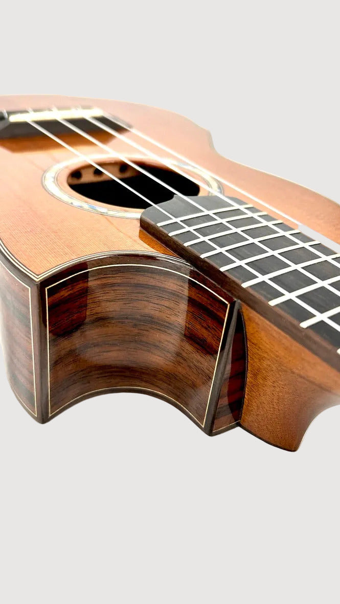 MAESTRO UT-IR (C) Tenor Cutaway