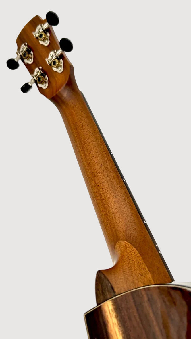 MAESTRO UT-IR (C) Tenor Cutaway