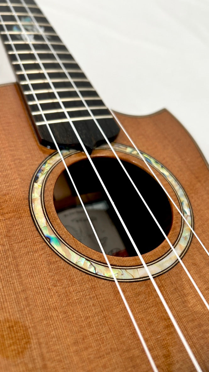 MAESTRO UT-IR (C) Tenor Cutaway