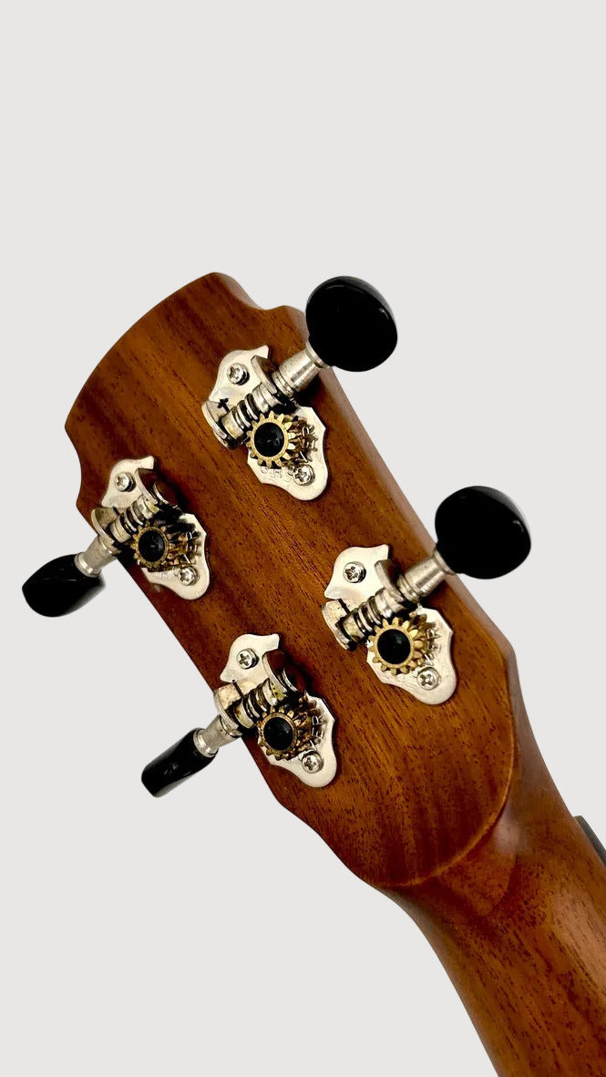 MAESTRO UT-IR (C) Tenor Cutaway
