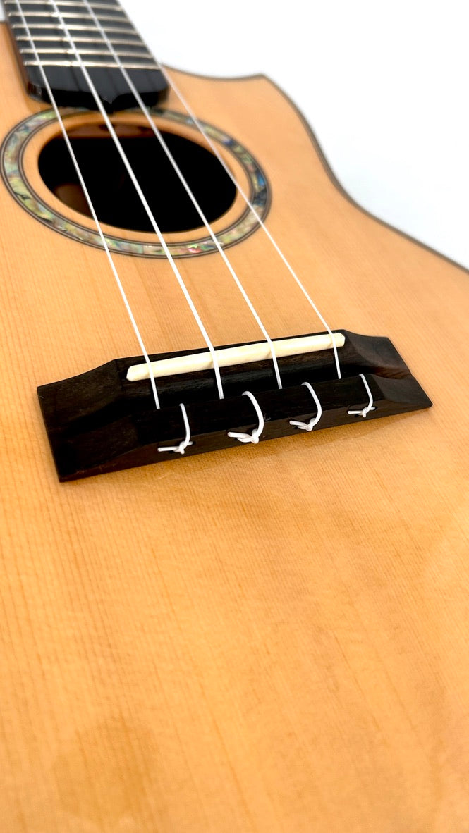 MAESTRO UT-IR (S) Tenor Cutaway