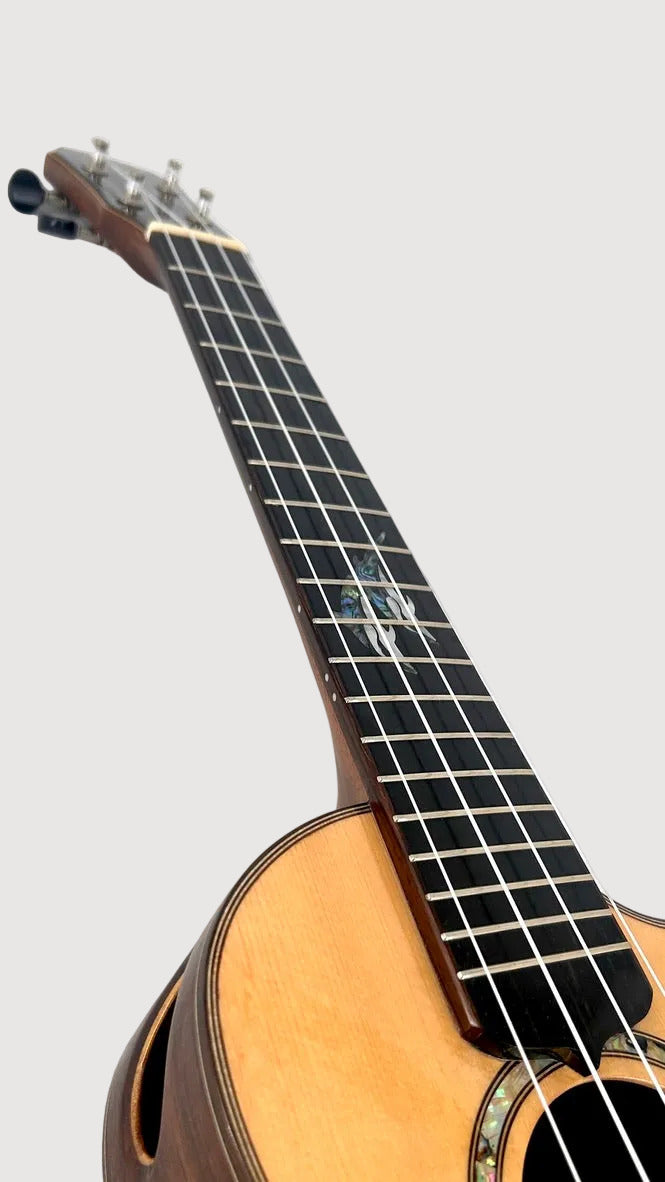 MAESTRO UT-IR (S) Tenor Cutaway