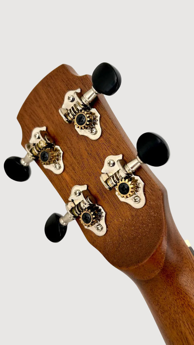 MAESTRO UT-OV SB Tenor Cutaway