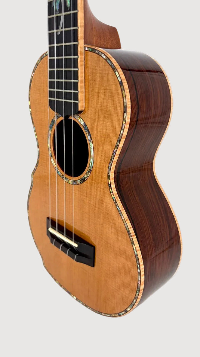 MAESTRO UC-CO SB Concert