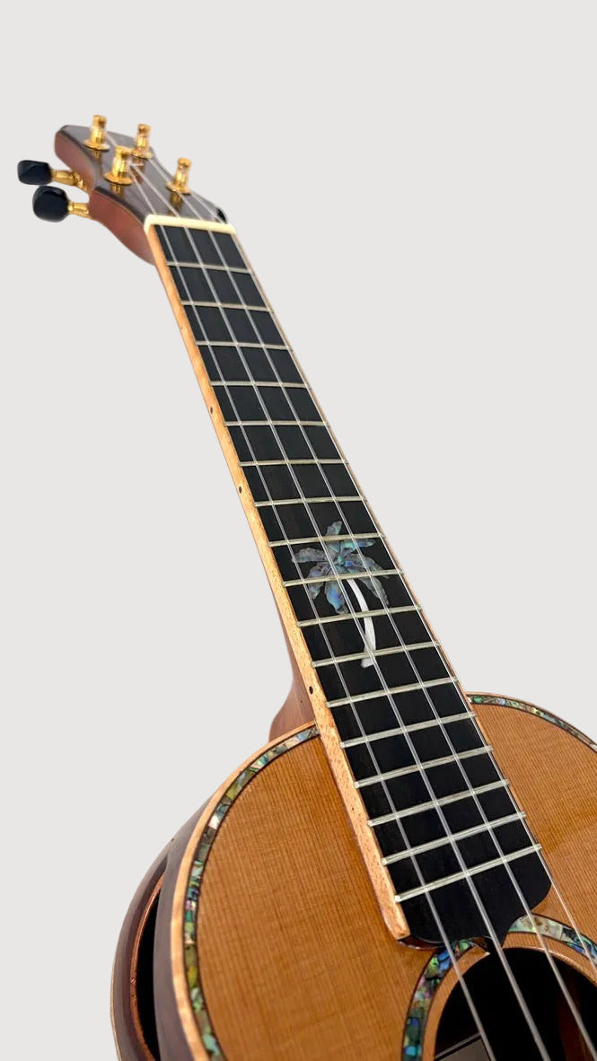 MAESTRO UC-CO SB Concert