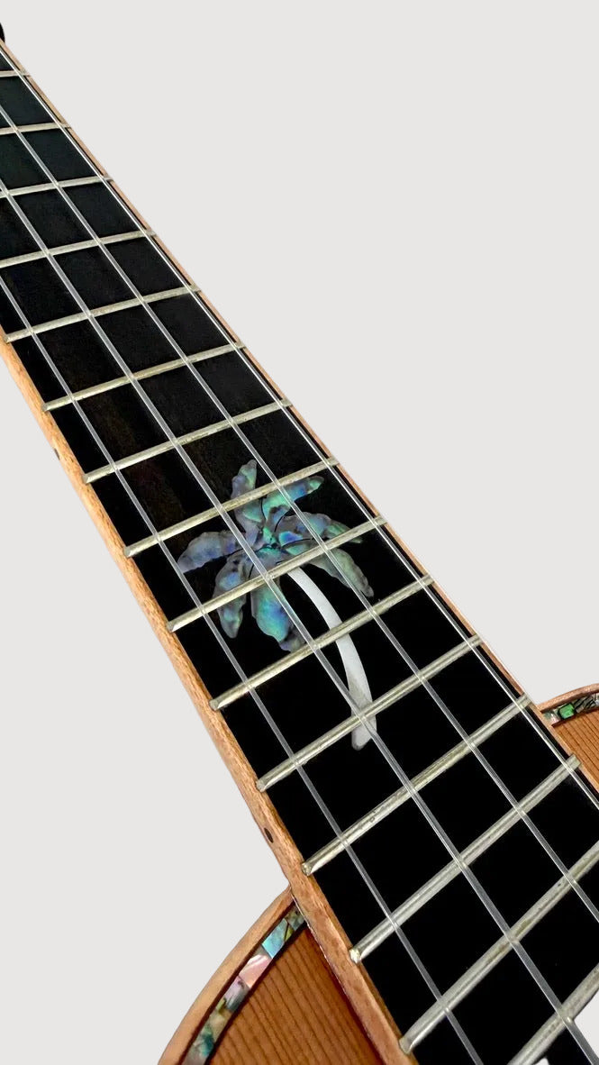 MAESTRO UC-CO SB Concert