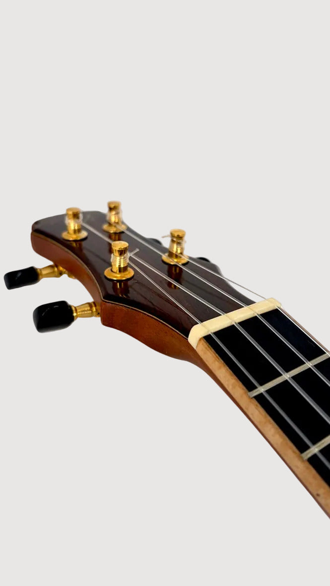 MAESTRO UC-CO SB Concert