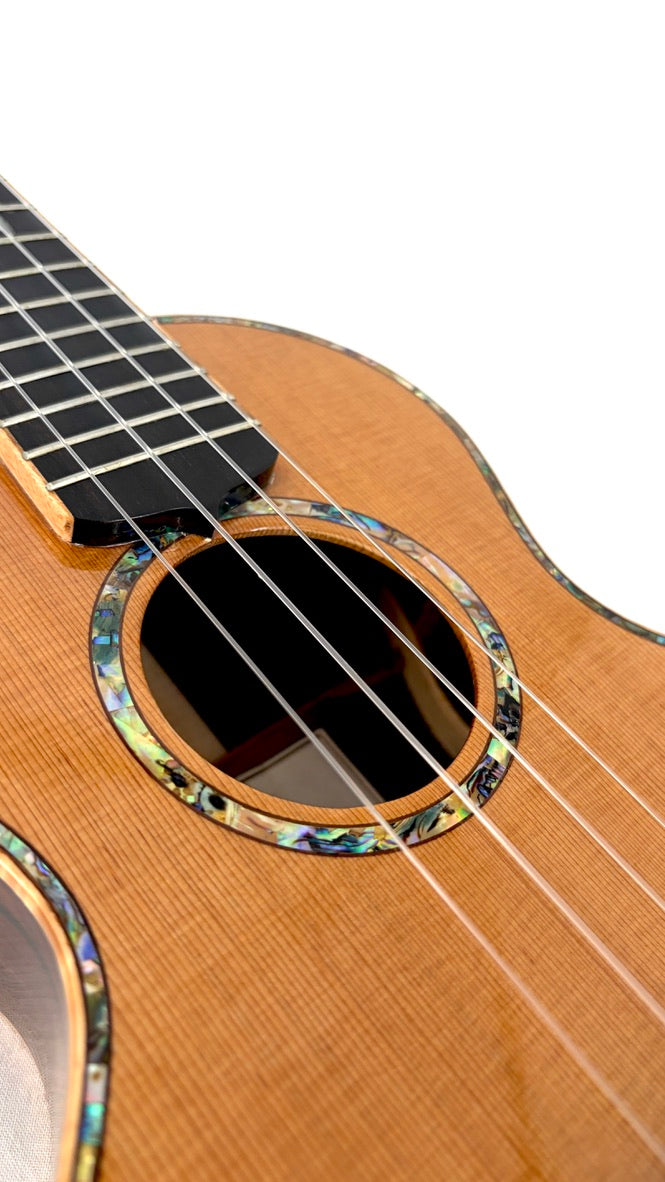 MAESTRO UC-CO SB Concert