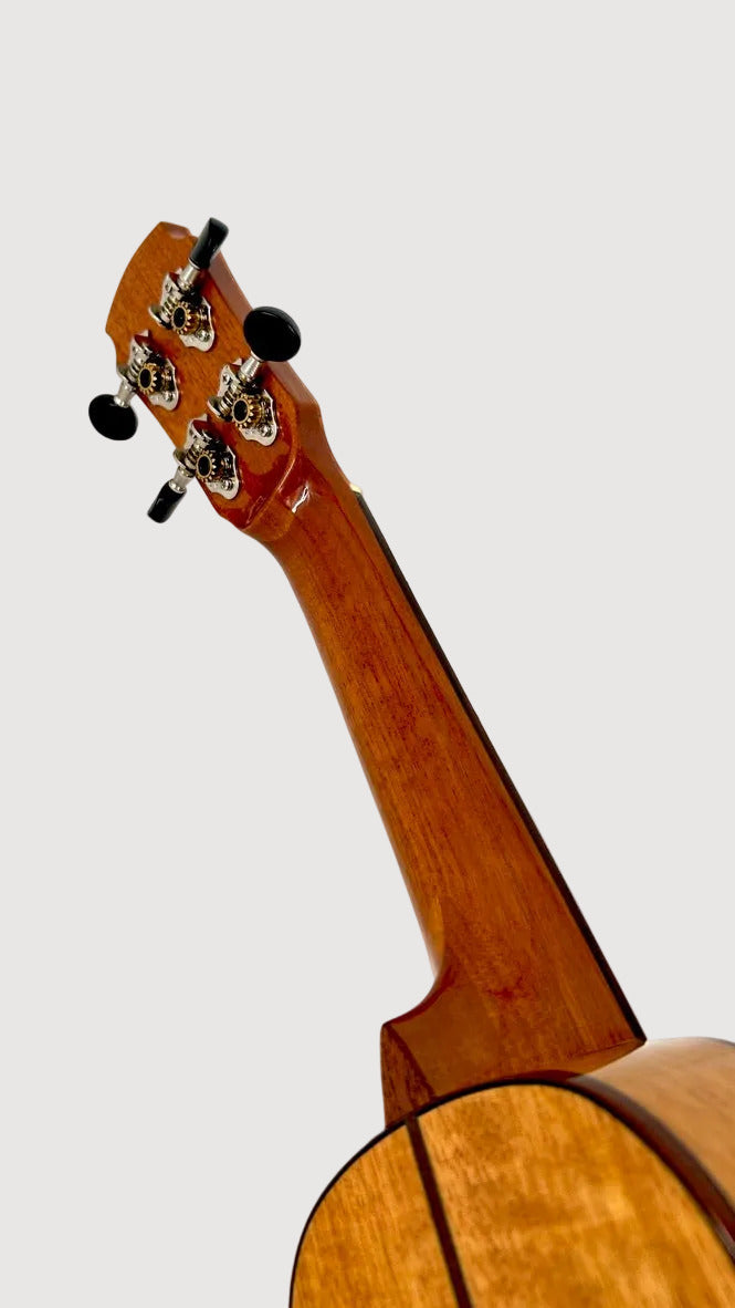 MAESTRO US30 Sopran mit Pickup
