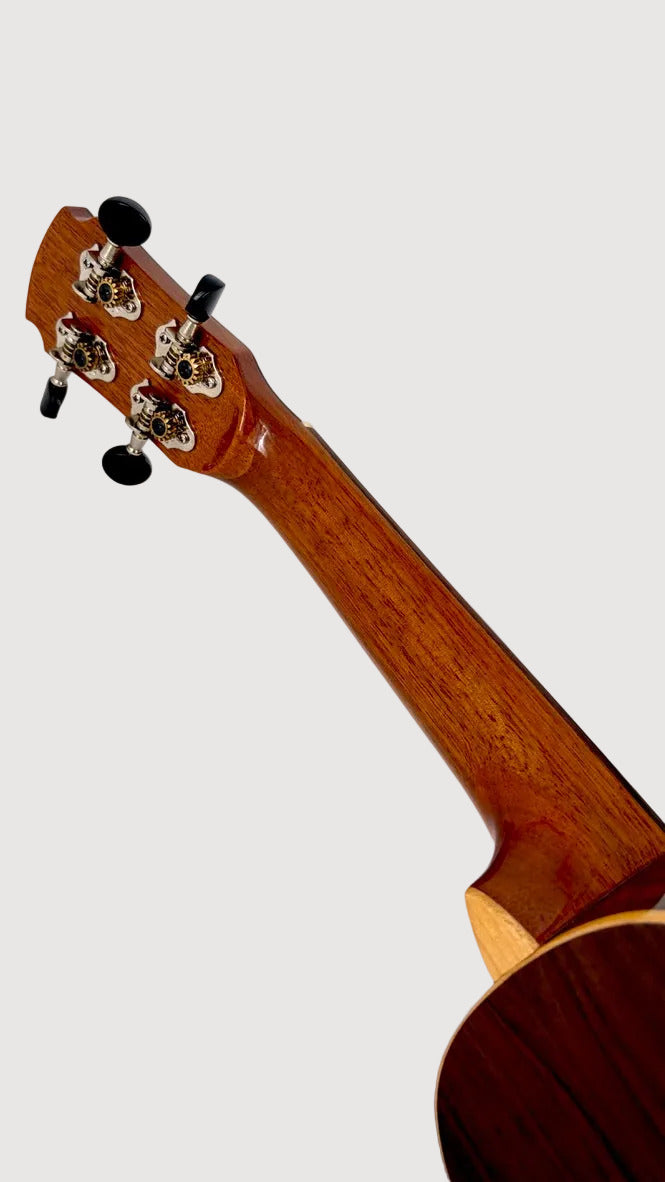 MAESTRO US40 Sopran
