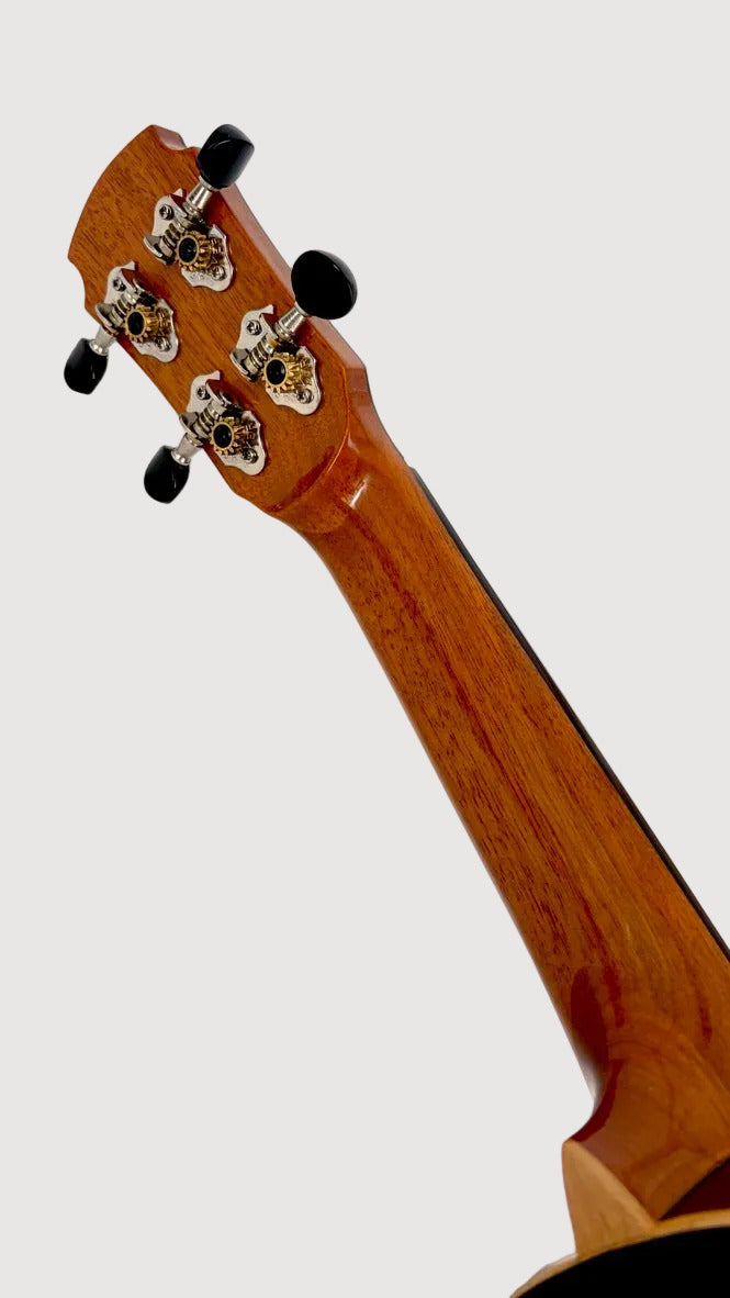 MAESTRO US40 Sopran
