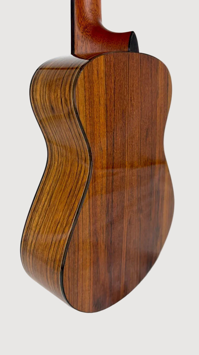 MAESTRO UT-OV SB Tenor