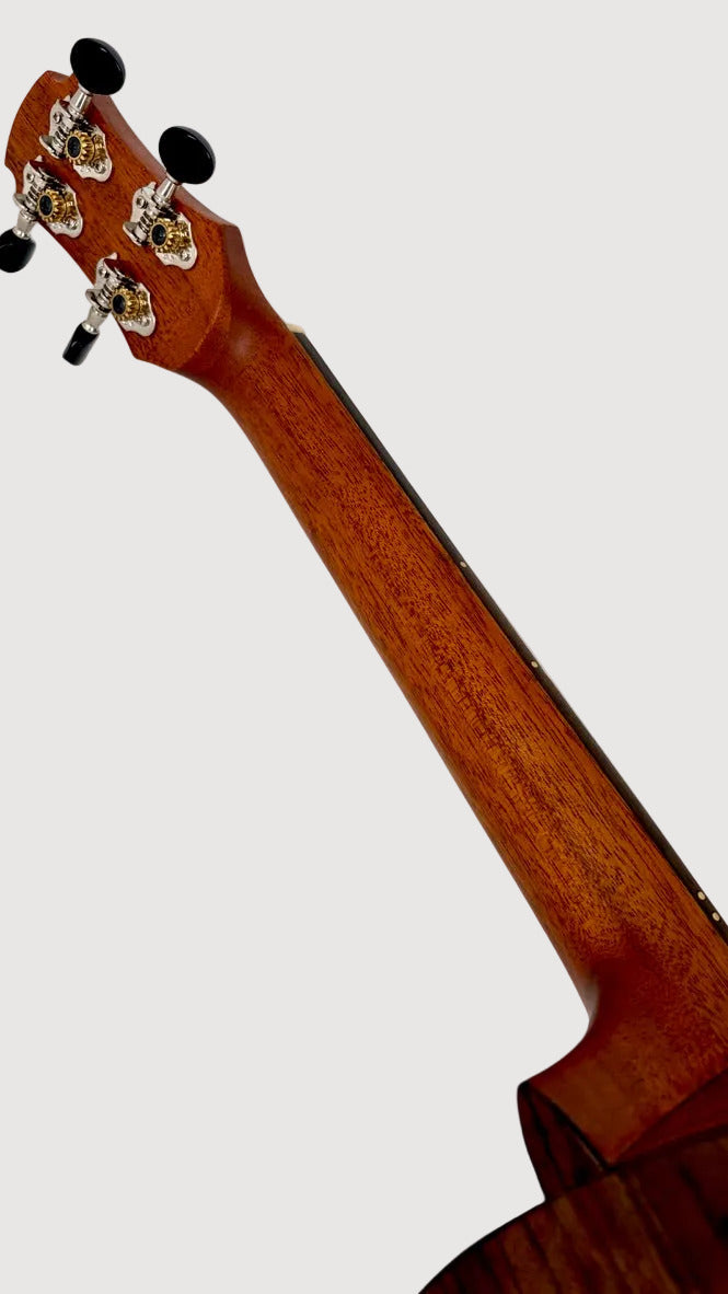 MAESTRO UT-OV SB Tenor