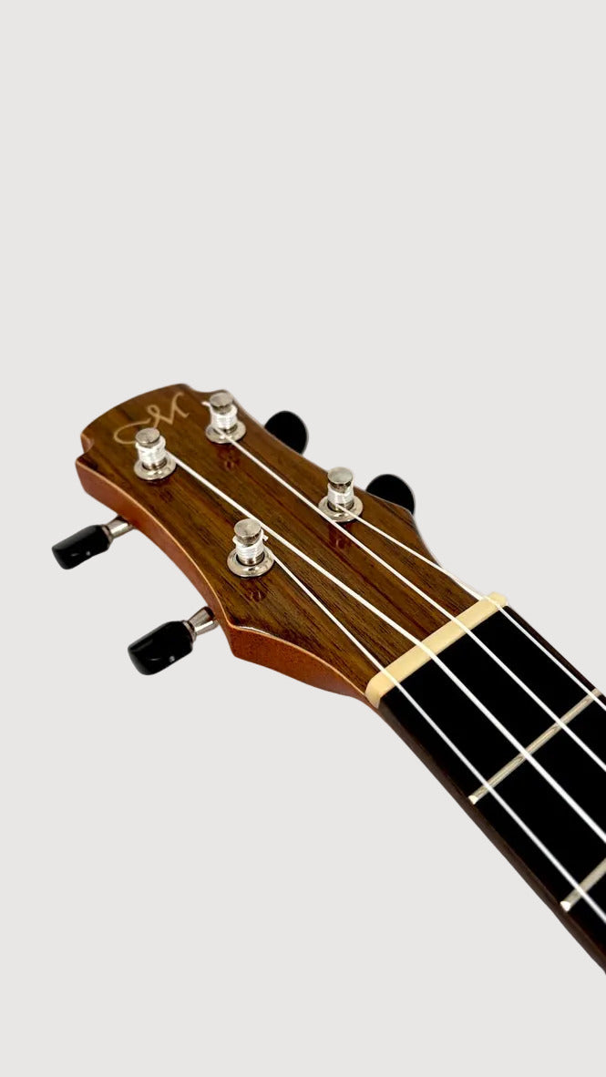 MAESTRO UT-OV SB Tenor