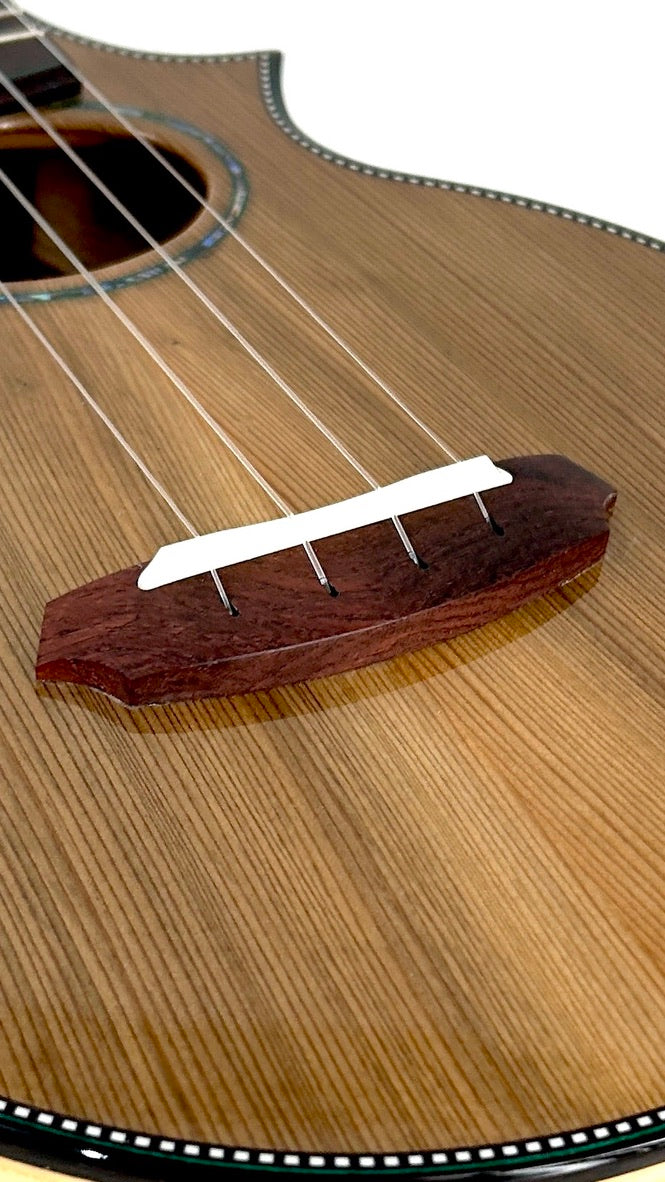 Naturel Concert Zeder