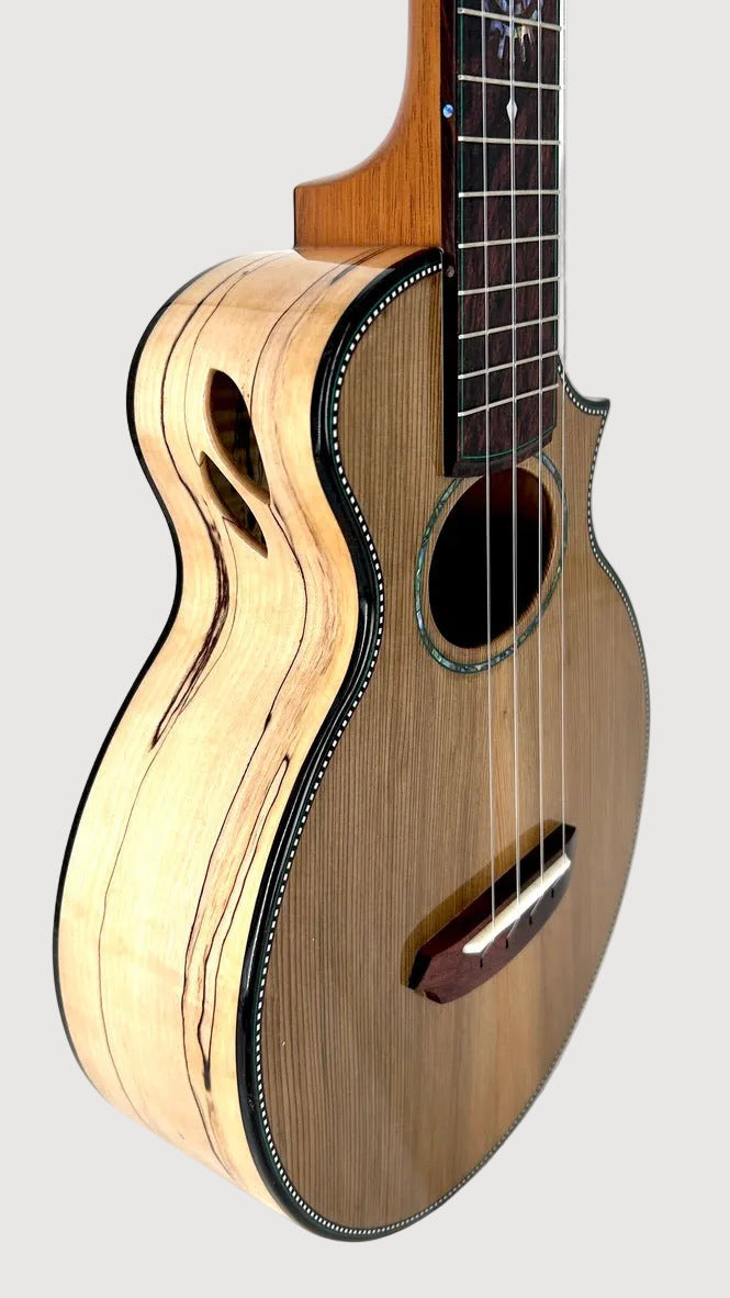 Naturel Concert Zeder