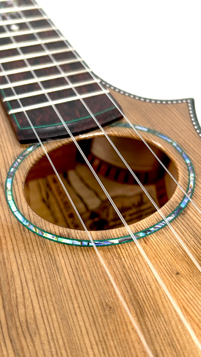 Naturel Concert Zeder