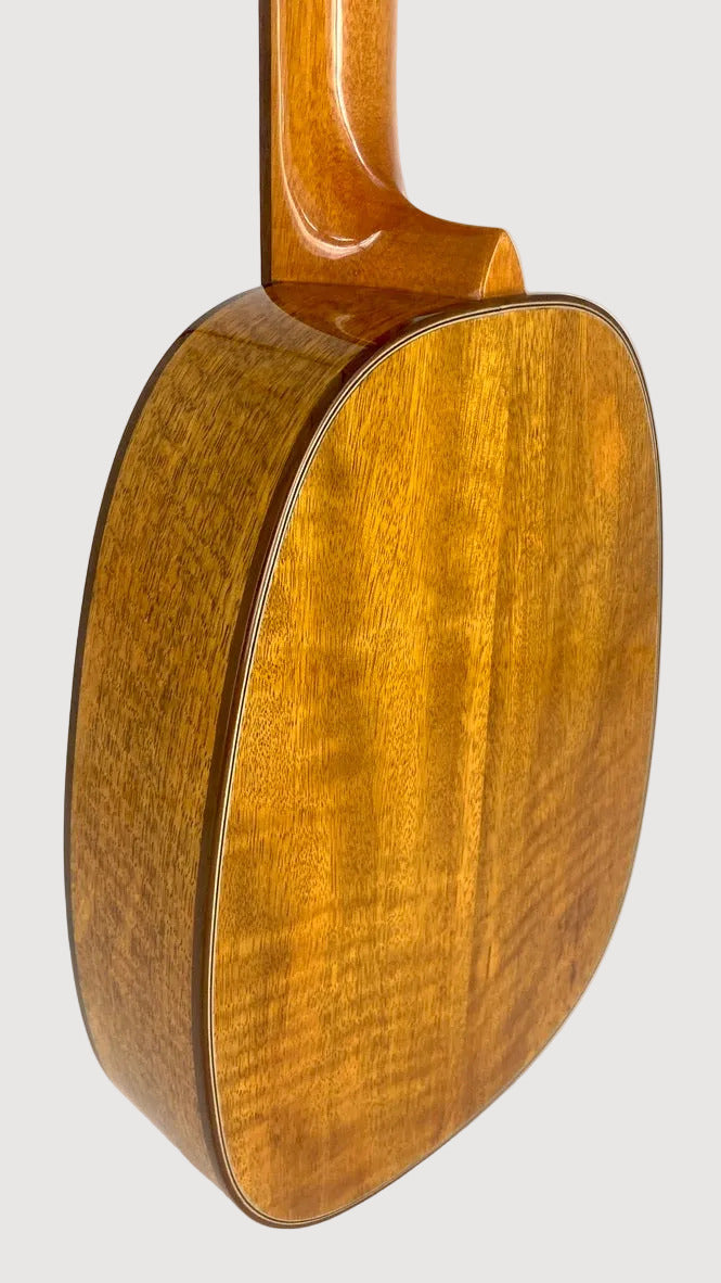 Ohana Tenor Pineapple PKT-220-G