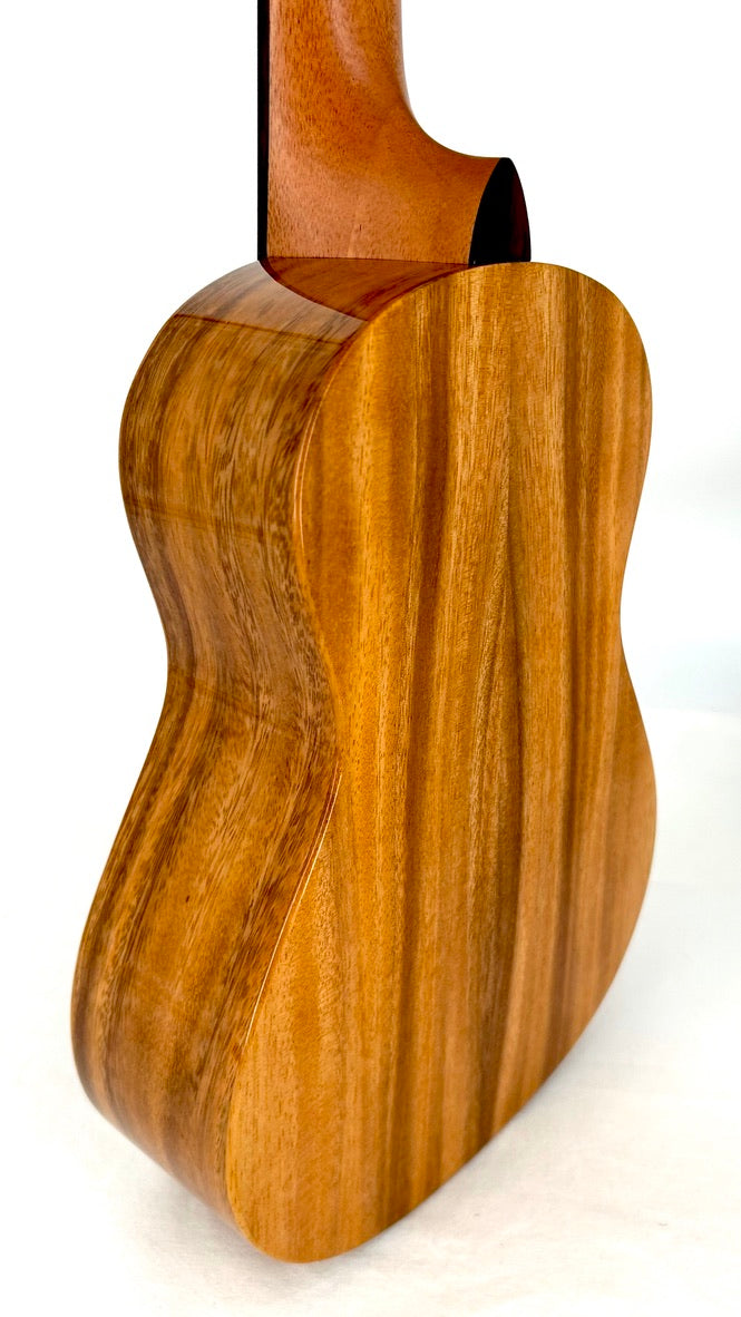 'Oli Concert Acacia gloss 2024 (L1 CA)