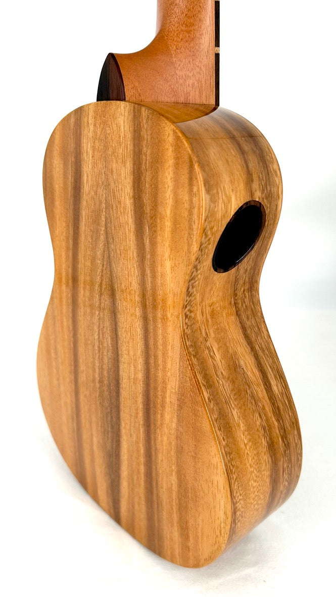 'Oli Concert Acacia gloss 2024 (L1 CA)