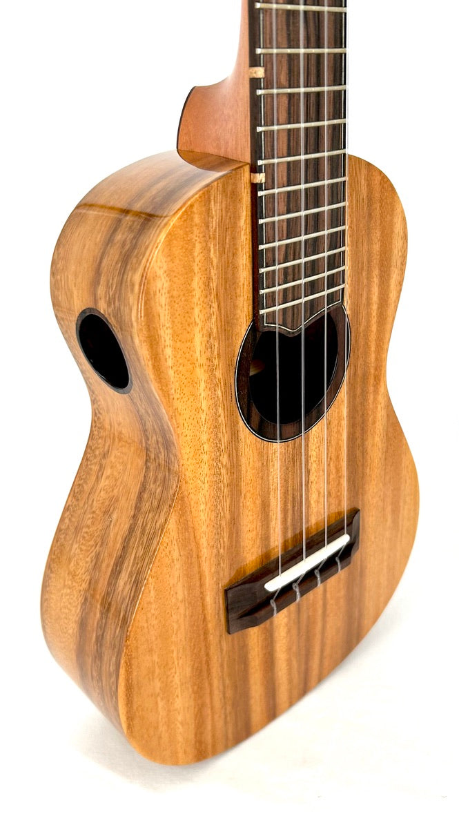 'Oli Concert Acacia gloss 2024 (L1 CA)