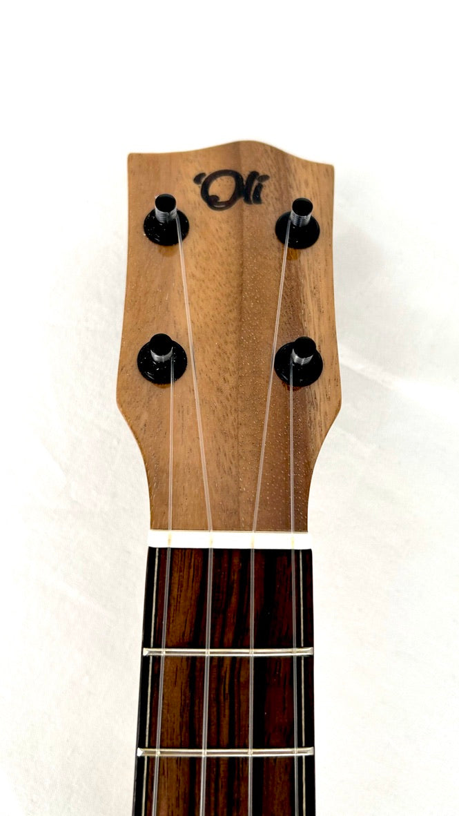 'Oli Concert Acacia gloss 2024 (L1 CA)