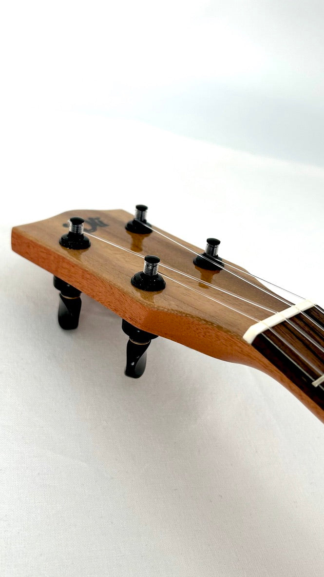 'Oli Concert Acacia gloss 2024 (L1 CA)