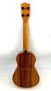 'Oli Concert Acacia gloss (L1 CA)