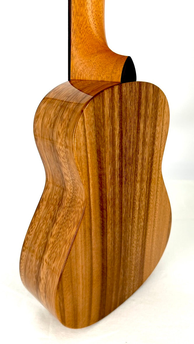 'Oli L1 Concert Acacia gloss 2024 (L1 CA)