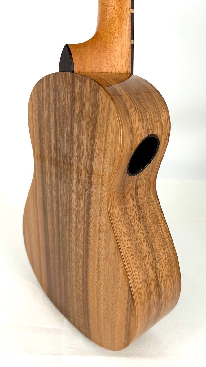 'Oli L1 Concert Acacia gloss 2024 (L1 CA)