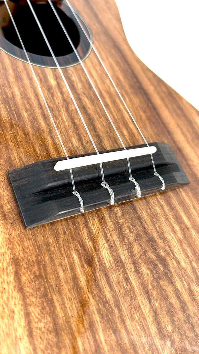 'Oli L1 Concert Acacia gloss 2024 (L1 CA)