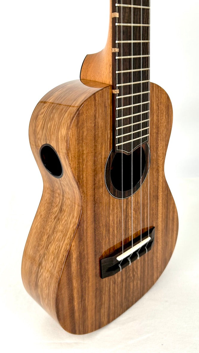 'Oli L1 Concert Acacia gloss 2024 (L1 CA)