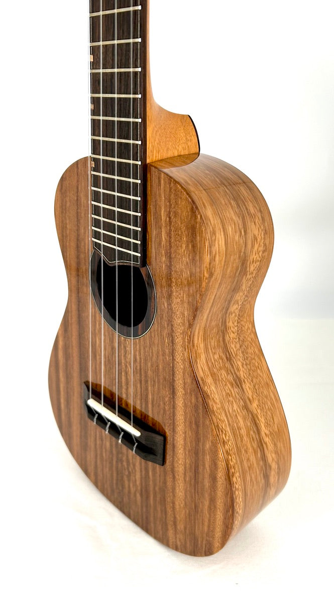 'Oli L1 Concert Acacia gloss 2024 (L1 CA)